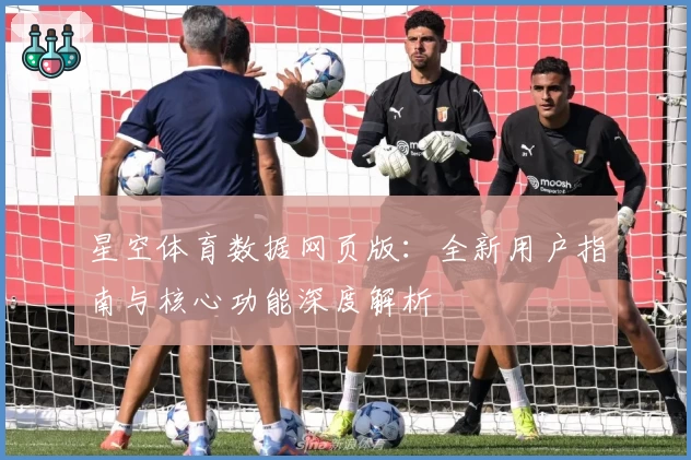 星空体育数据网页版：全新用户指南与核心功能深度解析