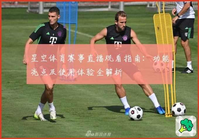 星空体育赛事直播观看指南:功能亮点及使用体验全解析
